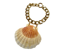 NEW ARRIVAL - Sea Shell Chain Choker